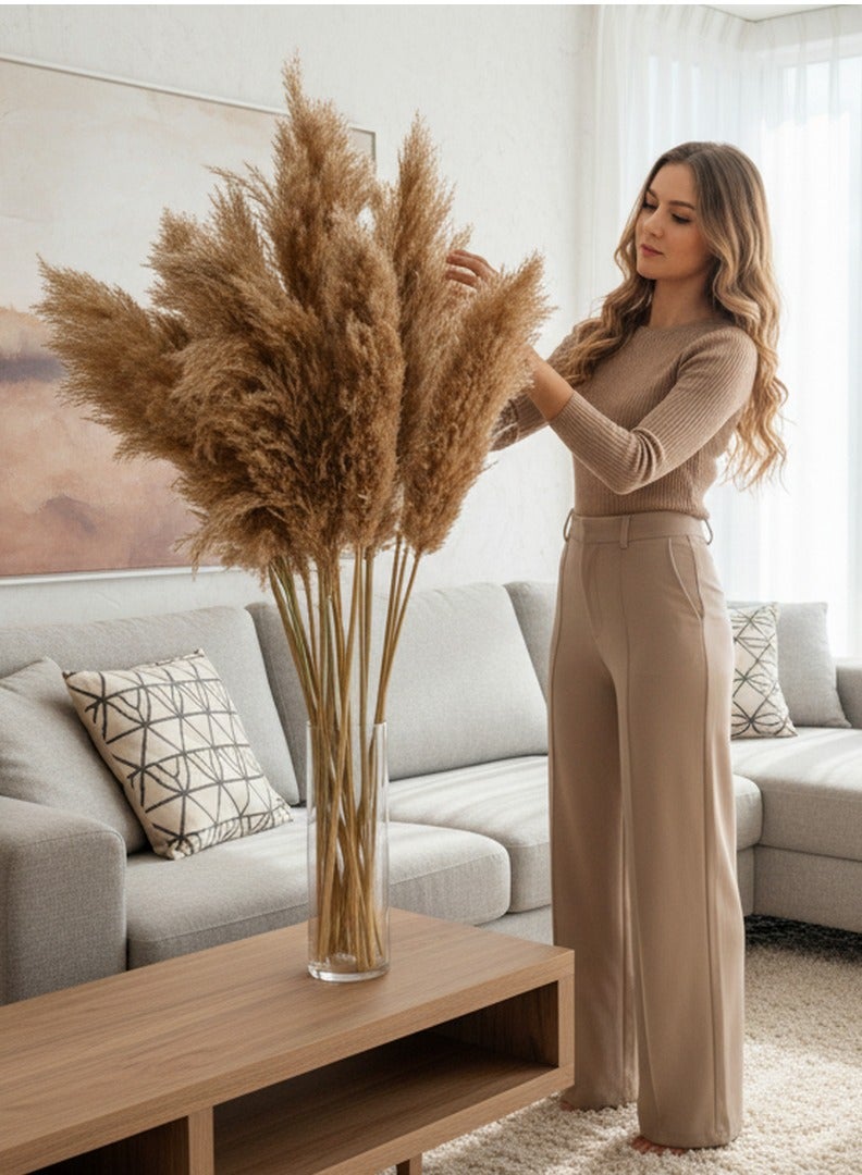 FANCY FLOWERS FANCY Soft XL Natural Pampas Grass – Dried Fluffy Beige Stems for Home Decor    5 - Image 3